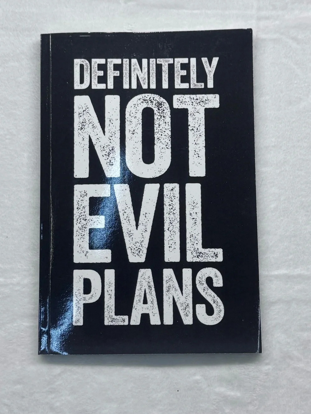 Definitely Not Evil Plans Black Notebook
